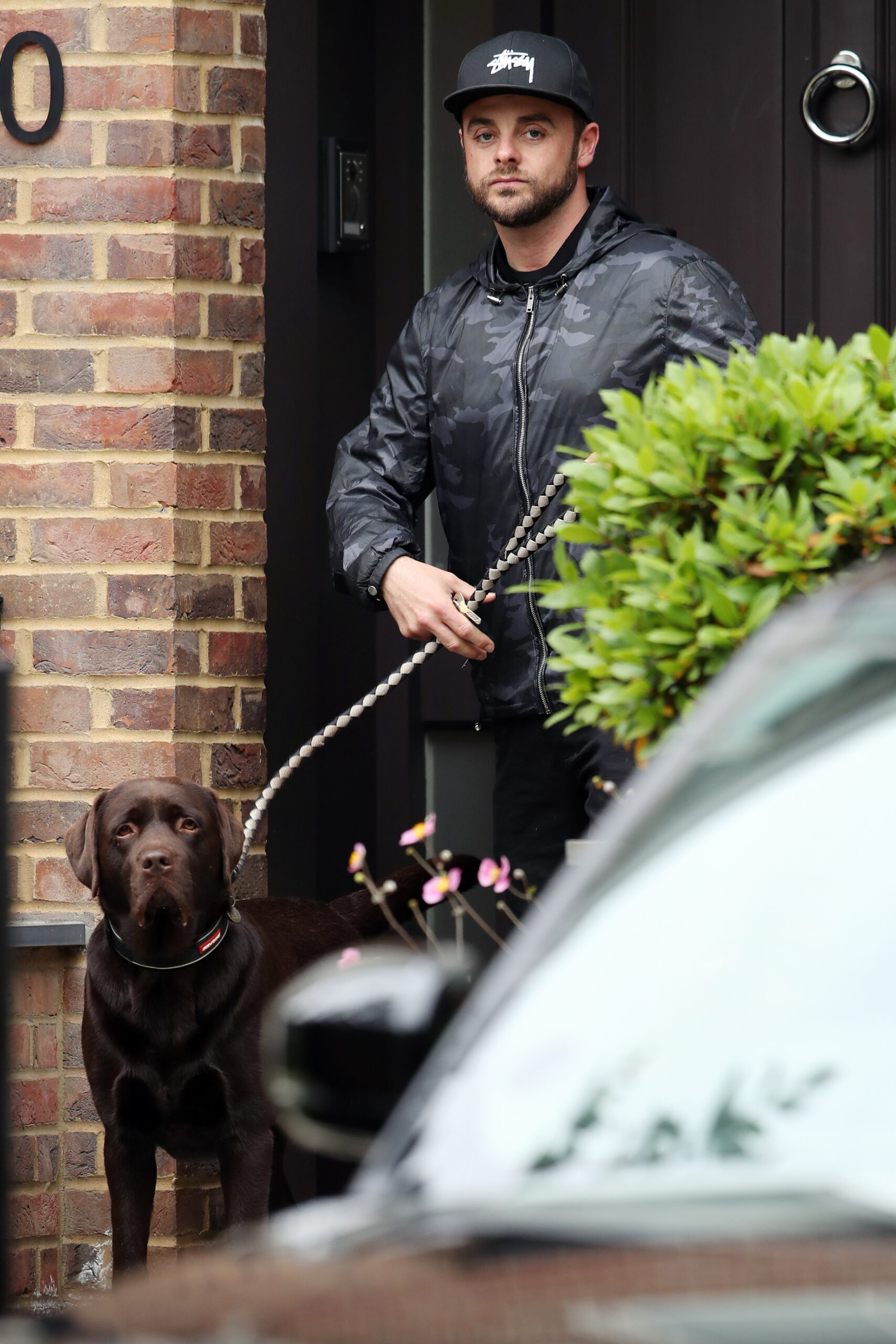 Ant McPartlin walking dog Hurley 