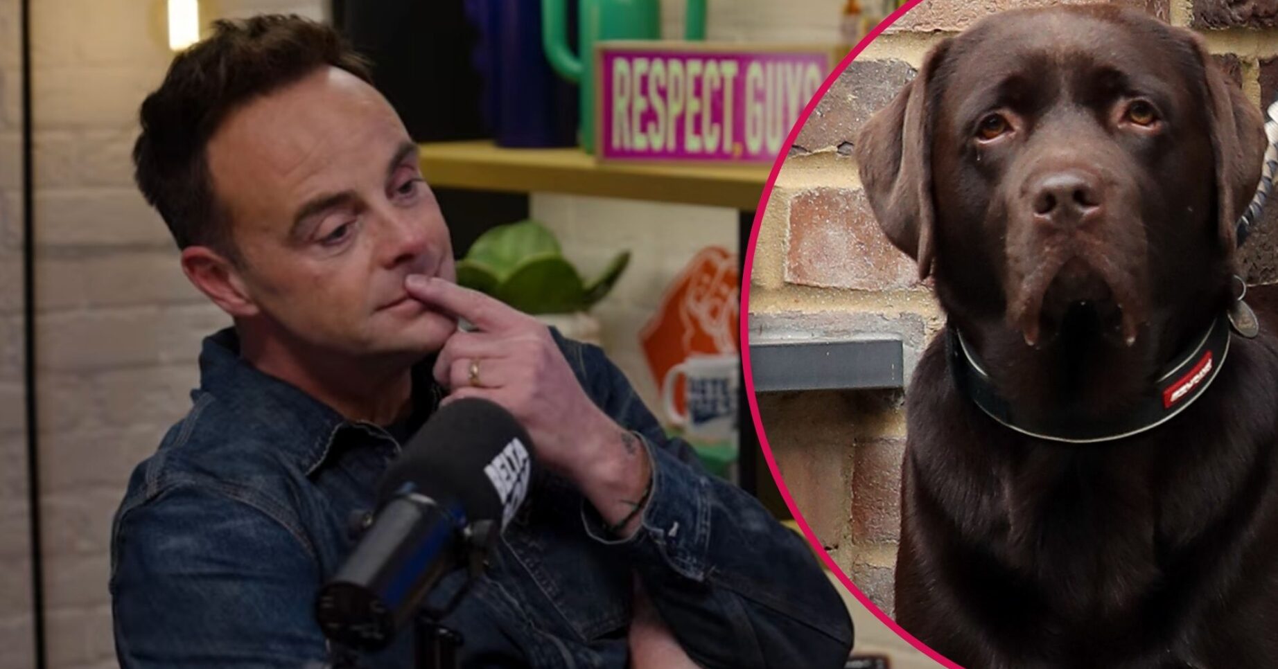 ED comp: Ant emotional / Hurley