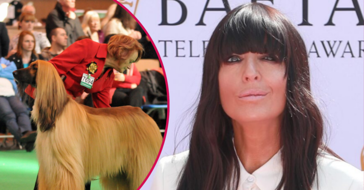 Claudia Winkleman and a dog at Crufts