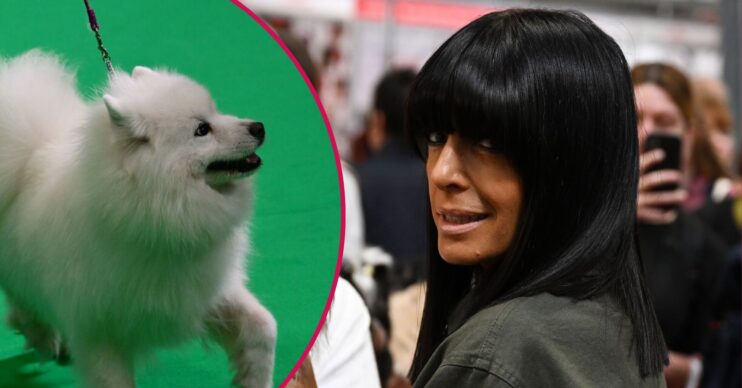 Crufts 2026 host Claudia Winkleman and a dog