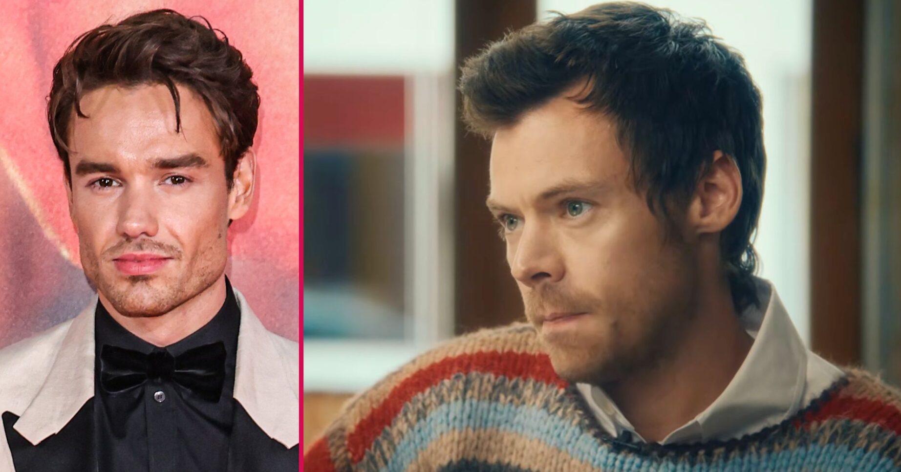 Harry Styles / Liam Payne ED comp