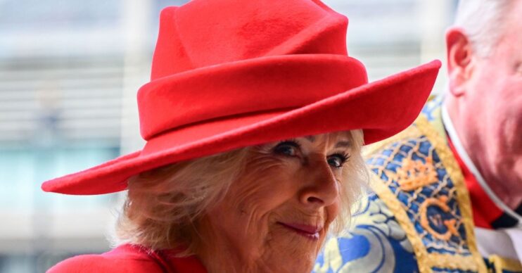 Queen Camilla with a half-smile