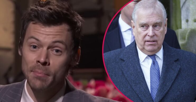 Harry Styles / Andrew Mountbatten-Windsor