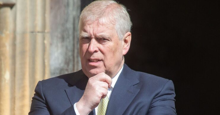 Andrew Mountbatten-Windsor with his hand on his chin