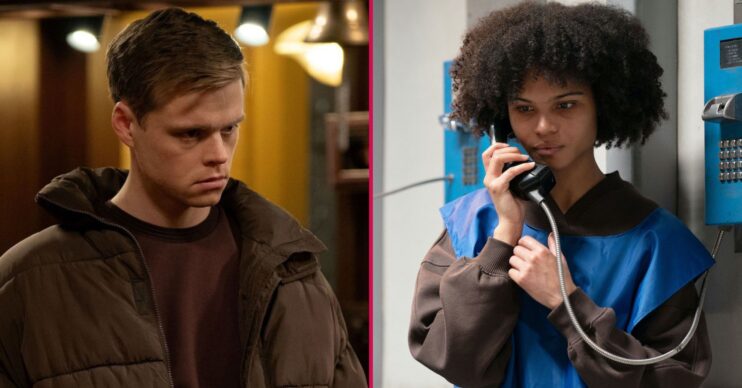 Oscar and Jasmine split image