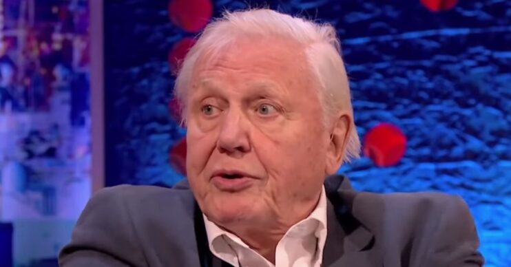 David looking serious