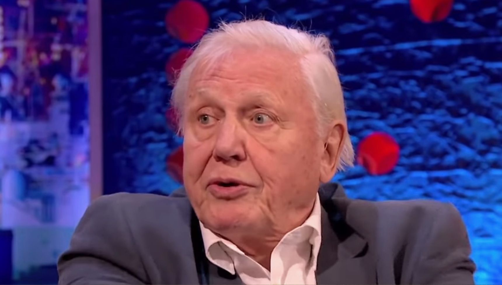 David Attenborough’s heartwrenching confession about dying as he admits: ‘I’m not afraid’ David Attenborough’s heartwrenching confession about dying as he admits: ‘I’m not afraid’