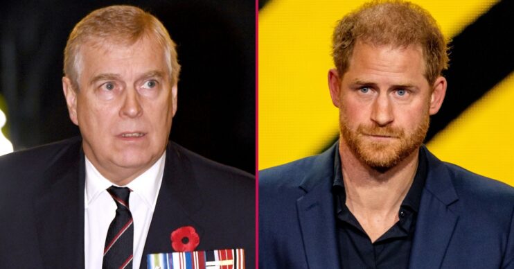 Andrew Mountbatten-Windsor and Prince Harry