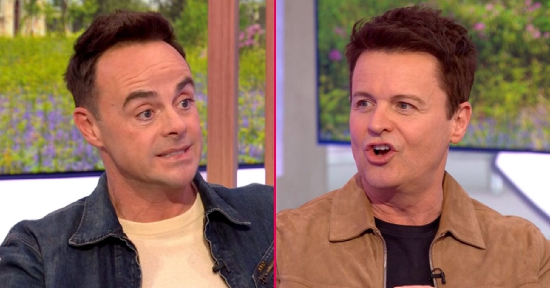 ED split pic: Ant / Dec on the One Show