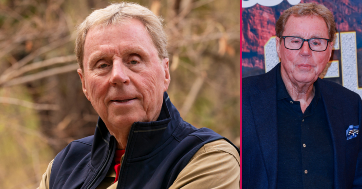 Harry Redknapp on I'm A Celebrity