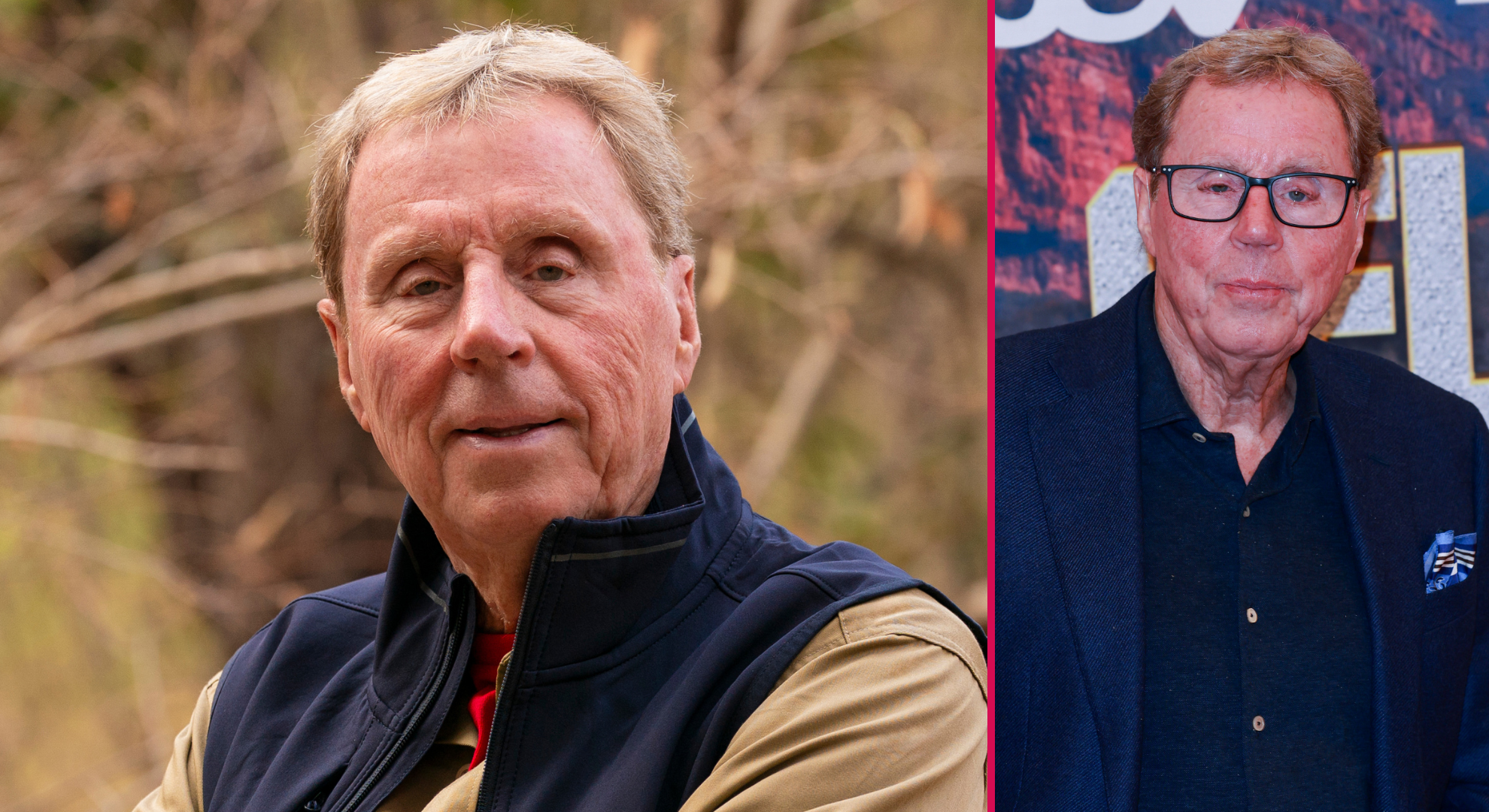I’m A Celebrity South Africa star Harry Redknapp’s fears for wife Sandra, £15m fortune and world-famous nephew