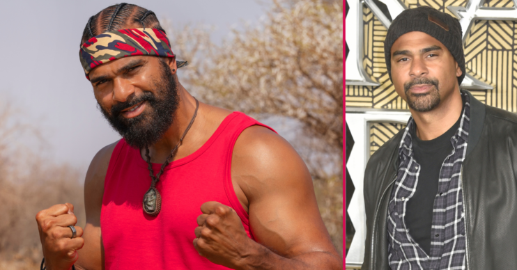 David Haye on I'm A Celebrity