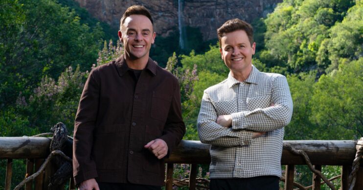 Ant and Dec in an I'm A Celebrity South Africa promo picture