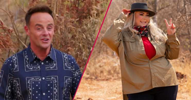 I'm A Celebrity All Stars