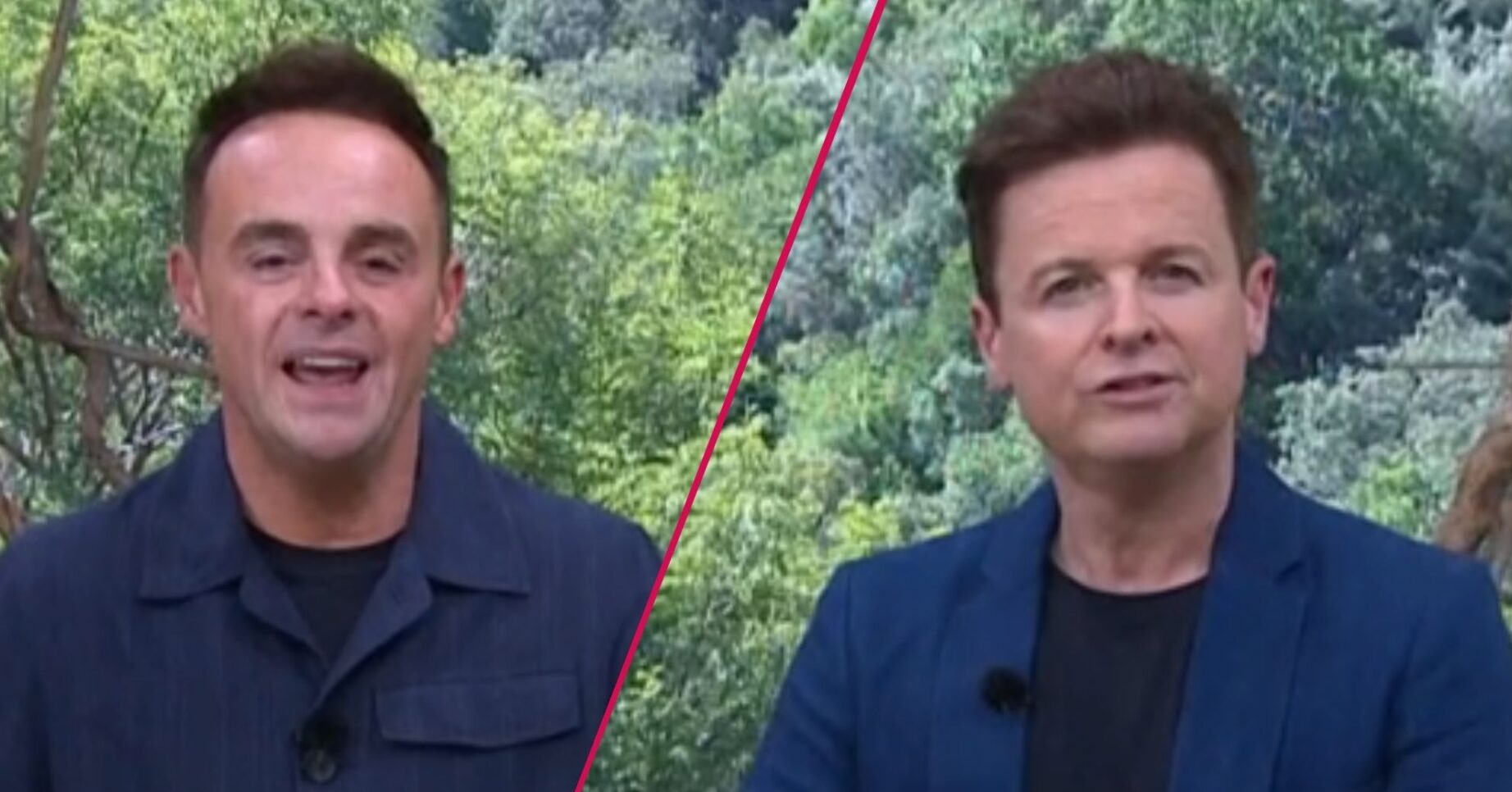 ED comp: Ant and Dec on I'm A Celebrity South Africa