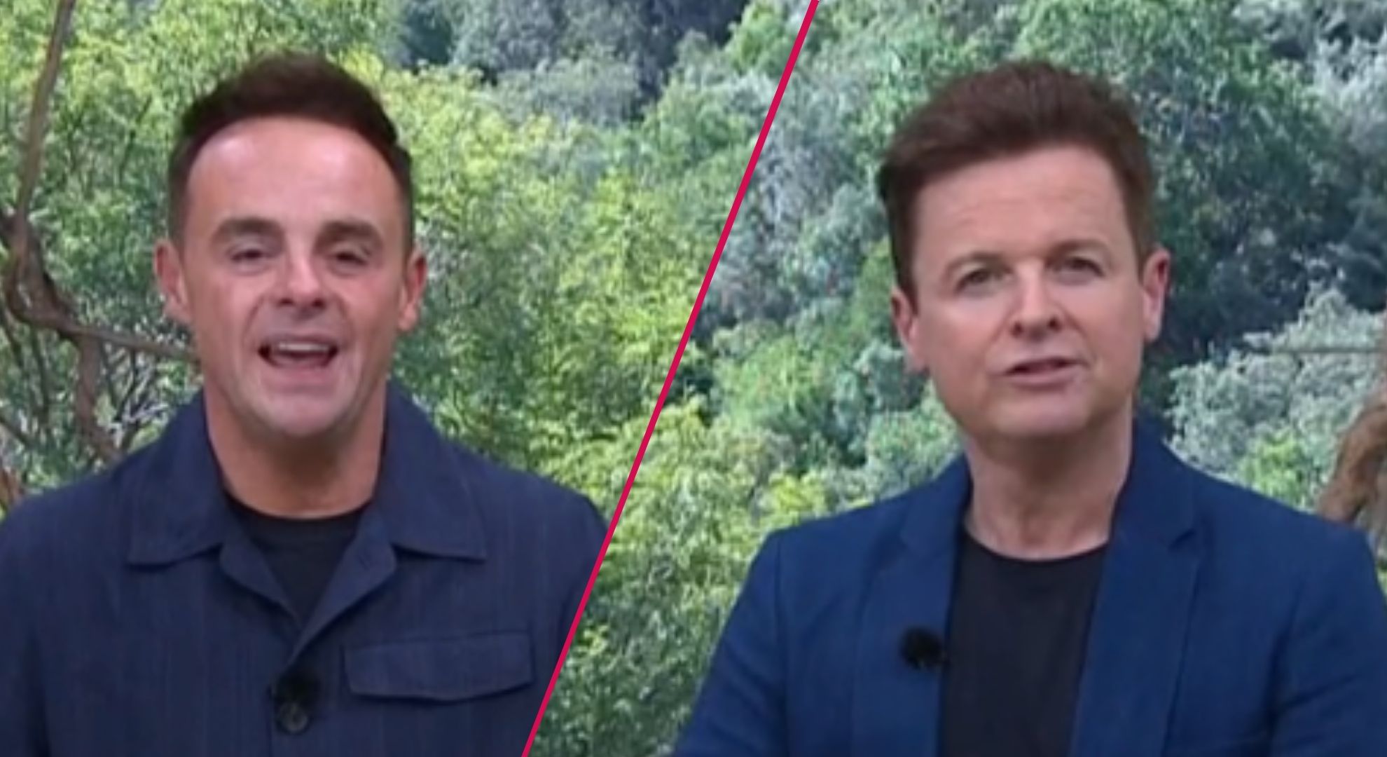 5 complaints as I’m A Celebrity South Africa launches to mixed reviews