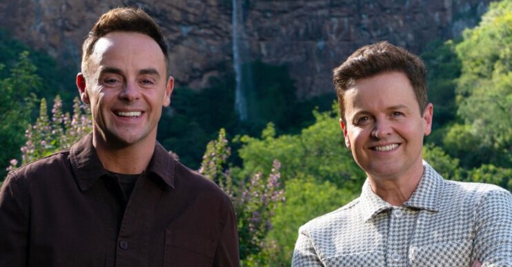 Ant and Dec smiling