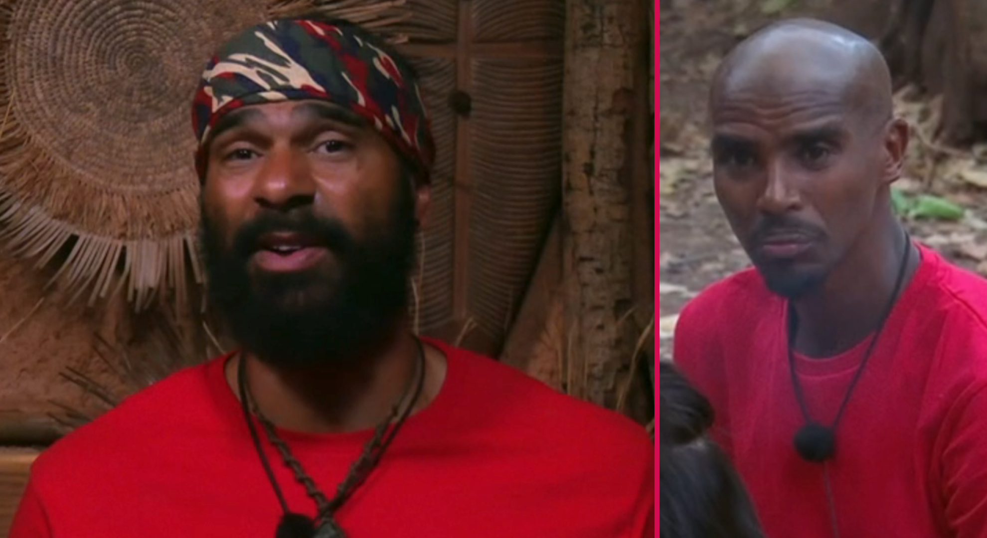 I’m A Celebrity viewers brand David Haye ‘unlikeable’ as first ‘feud’ spotted in camp I’m A Celebrity viewers brand David Haye ‘unlikeable’ as first ‘feud’ spotted in camp