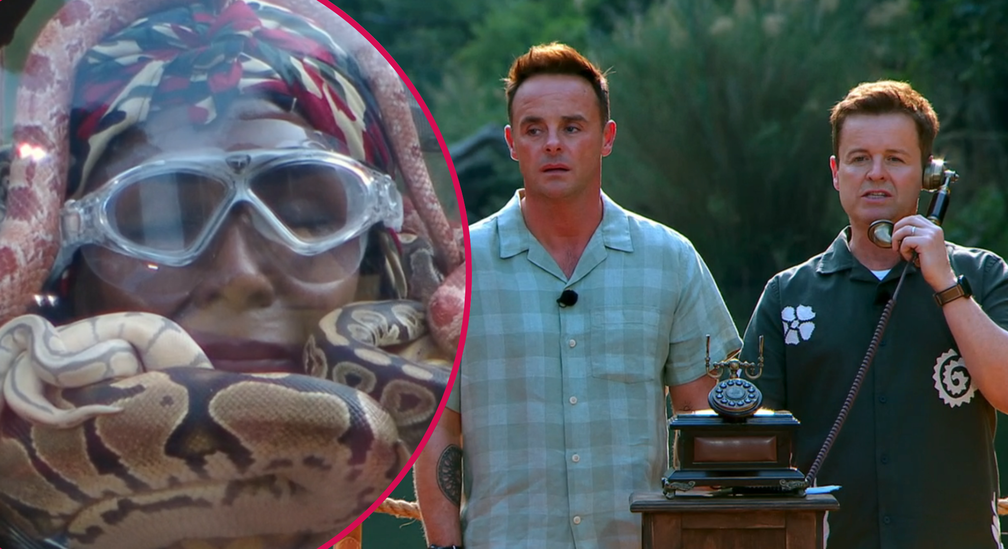 I’m A Celebrity South Africa hit with complaints as ITV ignores backlash over controversial trial decision