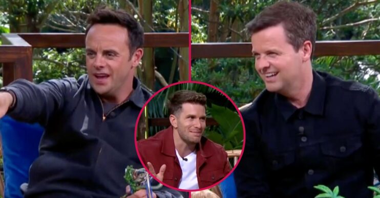 Ant and Dec / Joel Dommett on Extra Camp in 2019