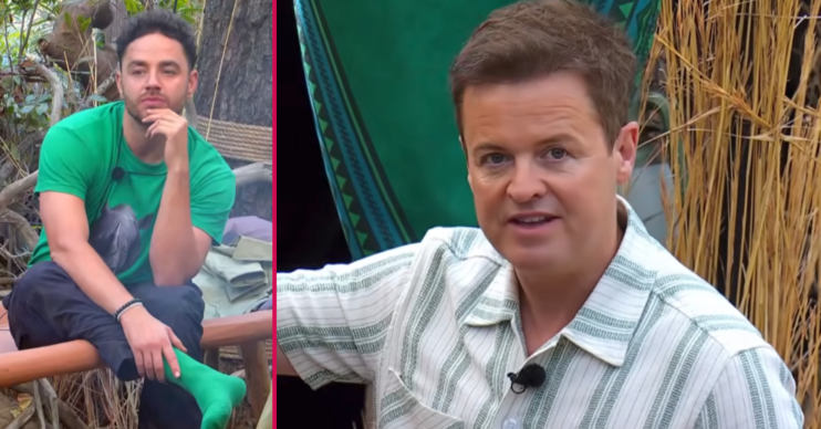 Dec on I'm A Celebrity plus two stars taking part in a trial