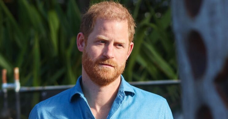 Prince Harry in blue shirt in Australia