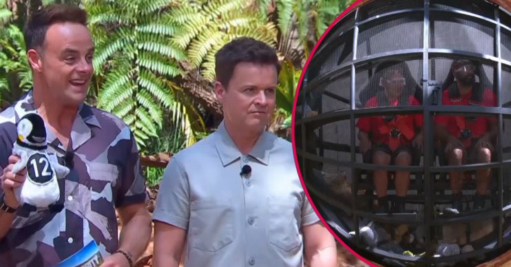 Ant and Dec and tonight's I'm A Celebrity trial