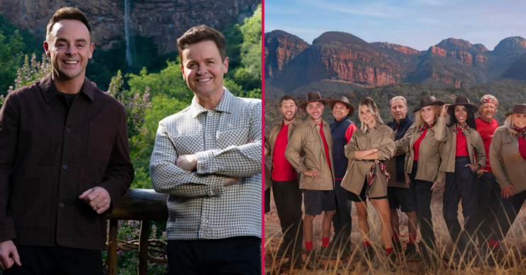 Ant and Dec and the I'm A Celeb campmates