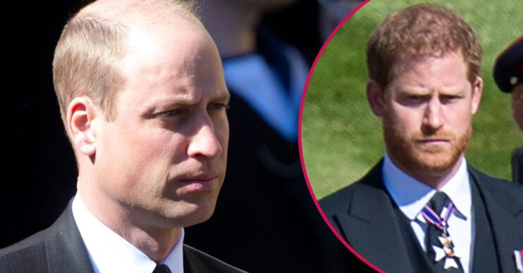 ED composite of Prince William and Harry at Philip funeral