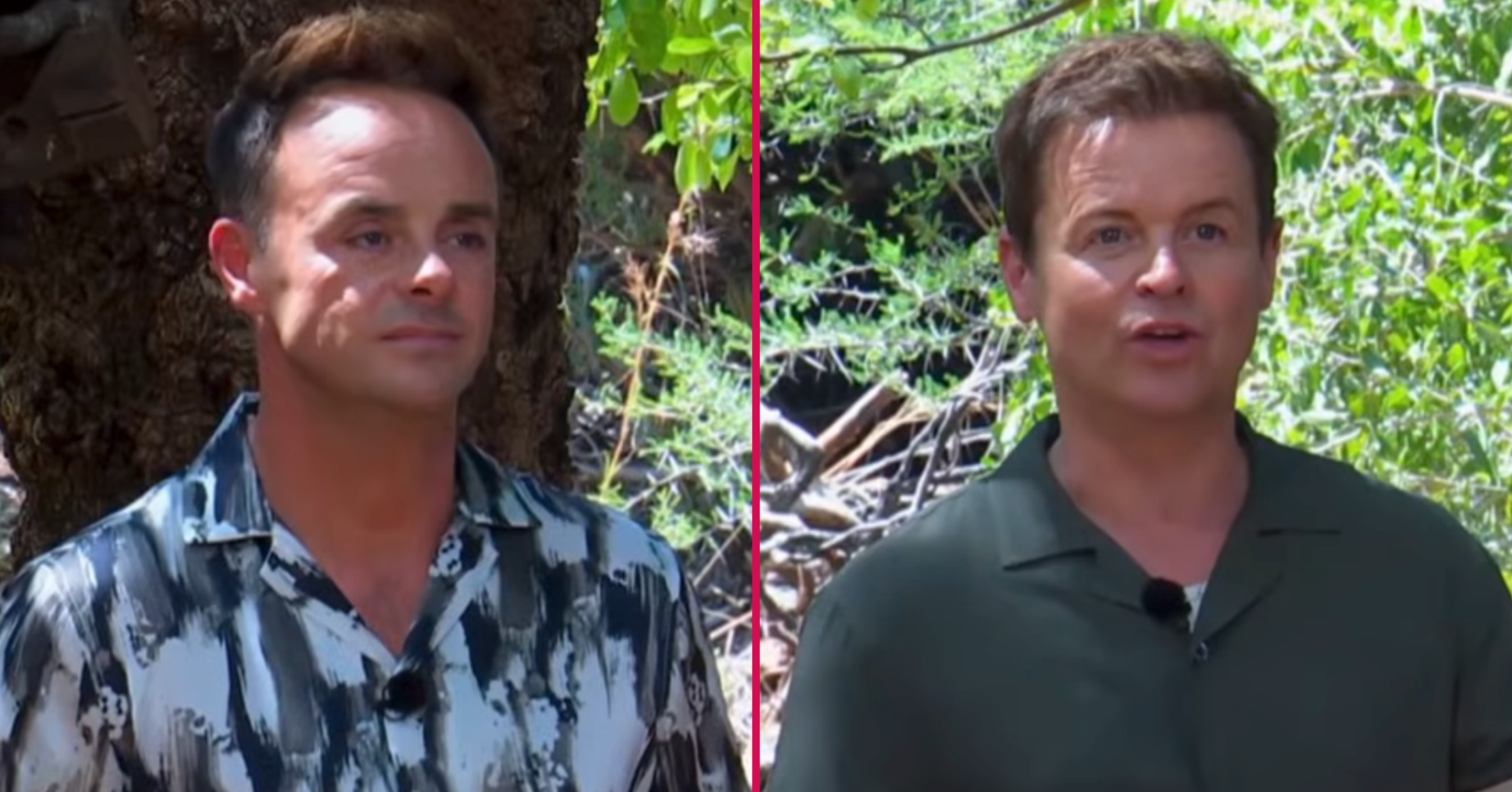 Ant and Dec on I'm A Celeb