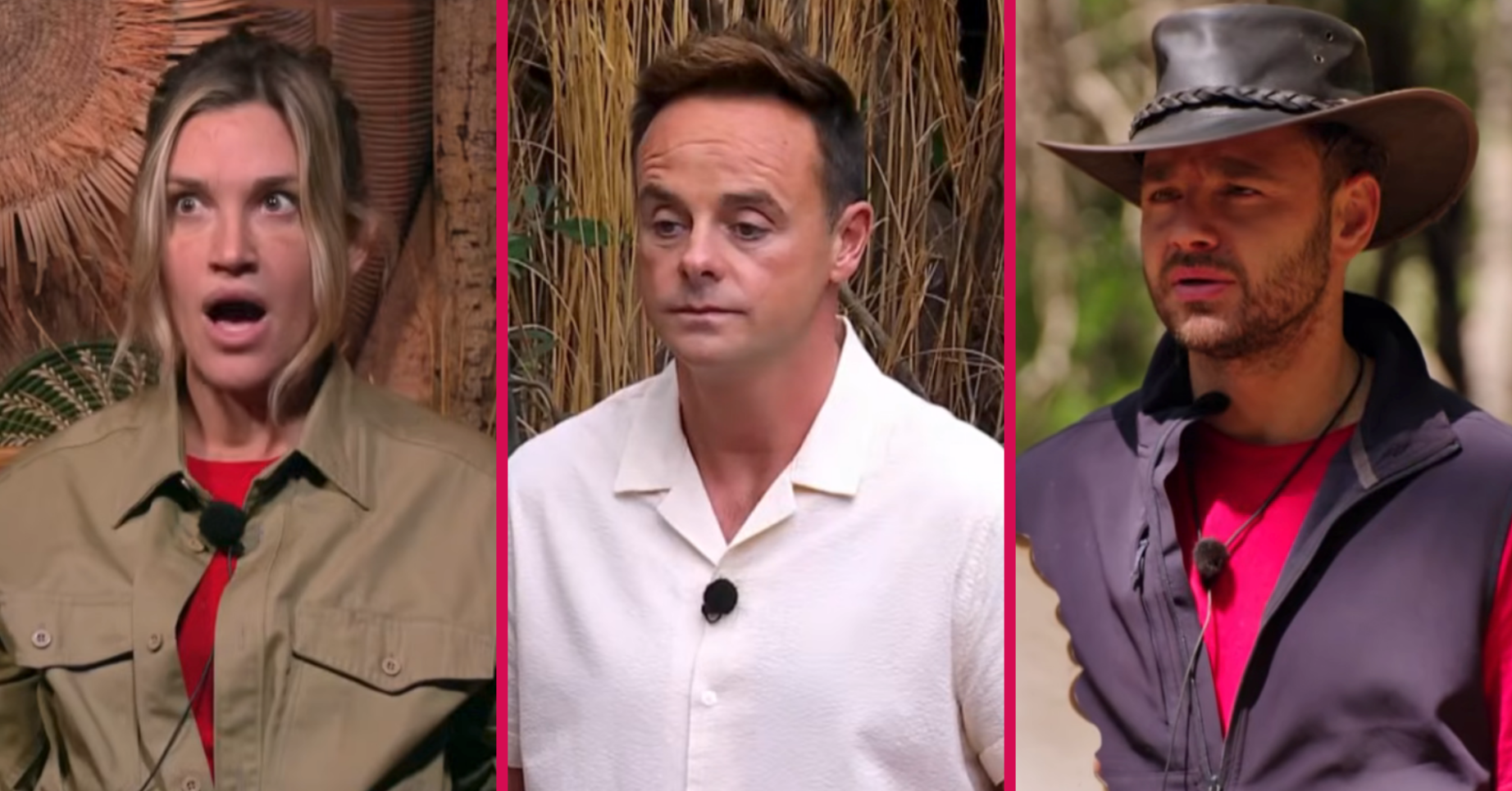 Ashley Roberts, Ant McPartlin and Adam Thomas on I'm A Celebrity South Africa