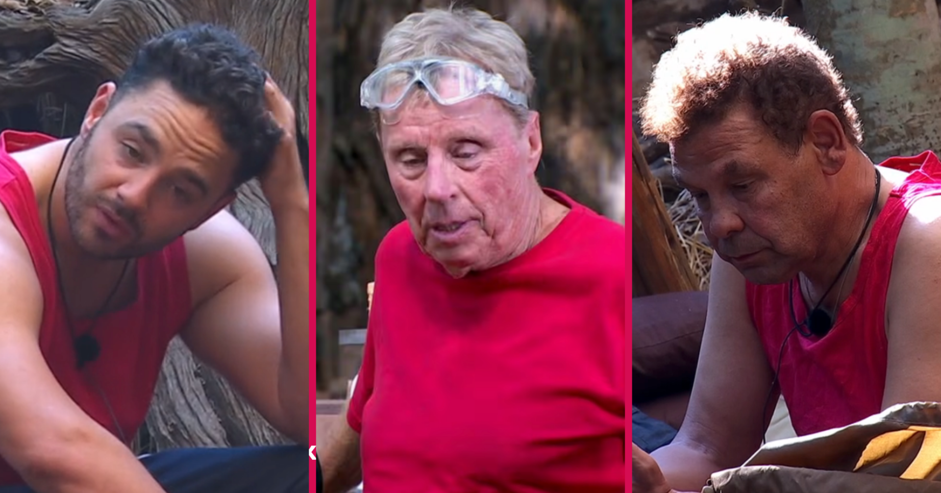 Adam Thomas, Harry Redknapp, Craig Charles on I'm A Celebrity