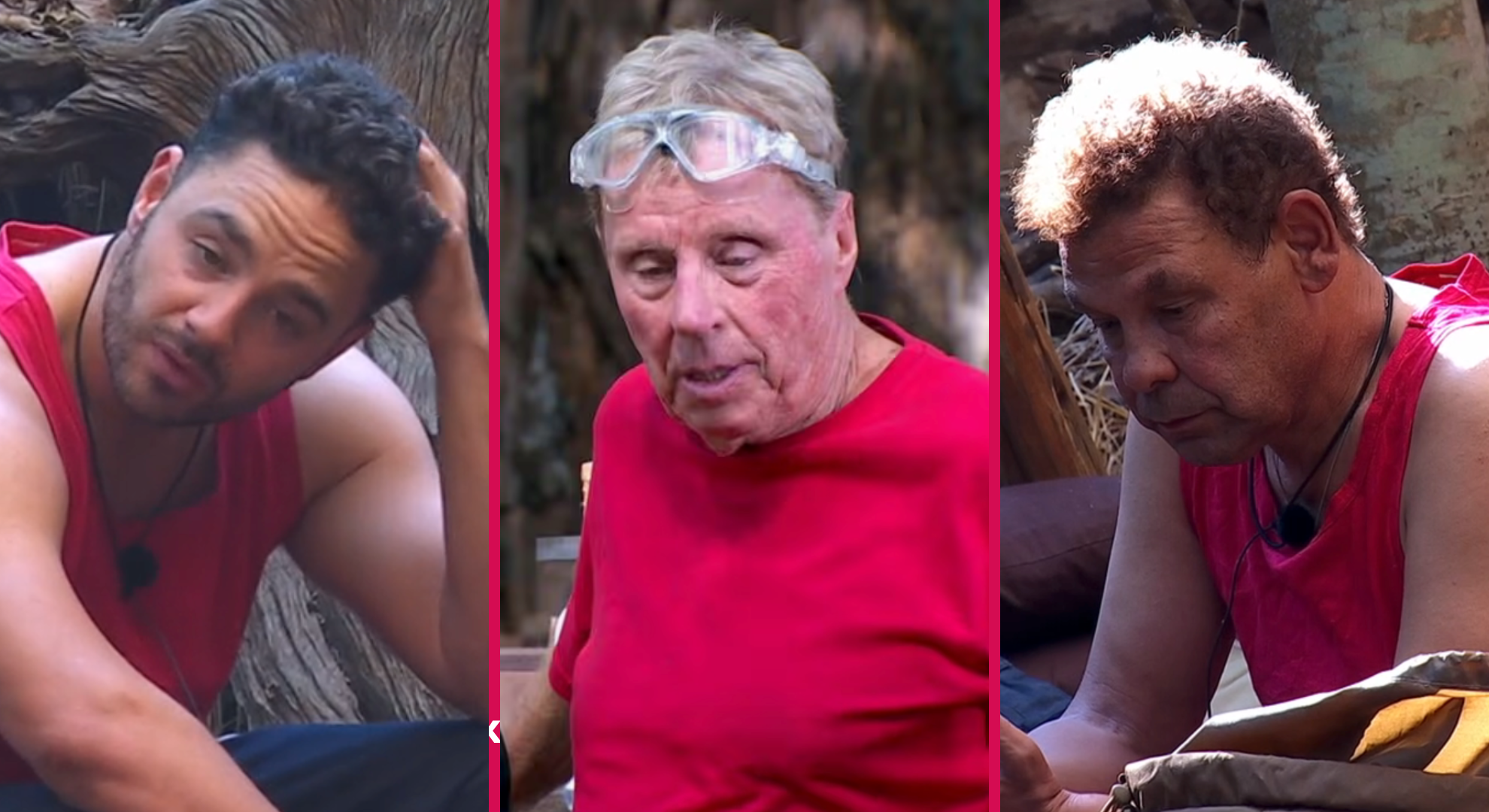I’m A Celebrity viewers convinced they know why Harry Redknapp and Craig Charles ‘turned’ on Adam Thomas