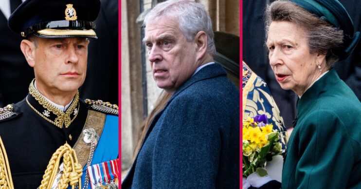 Prince Edward frowning, Andrew Mountbatten-Windsor with a shocked expression and Princess Anne frowning