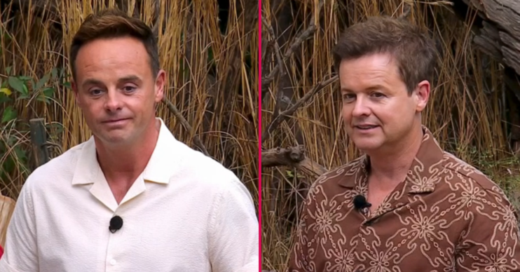 Ant and Dec on I'm A Celebrity