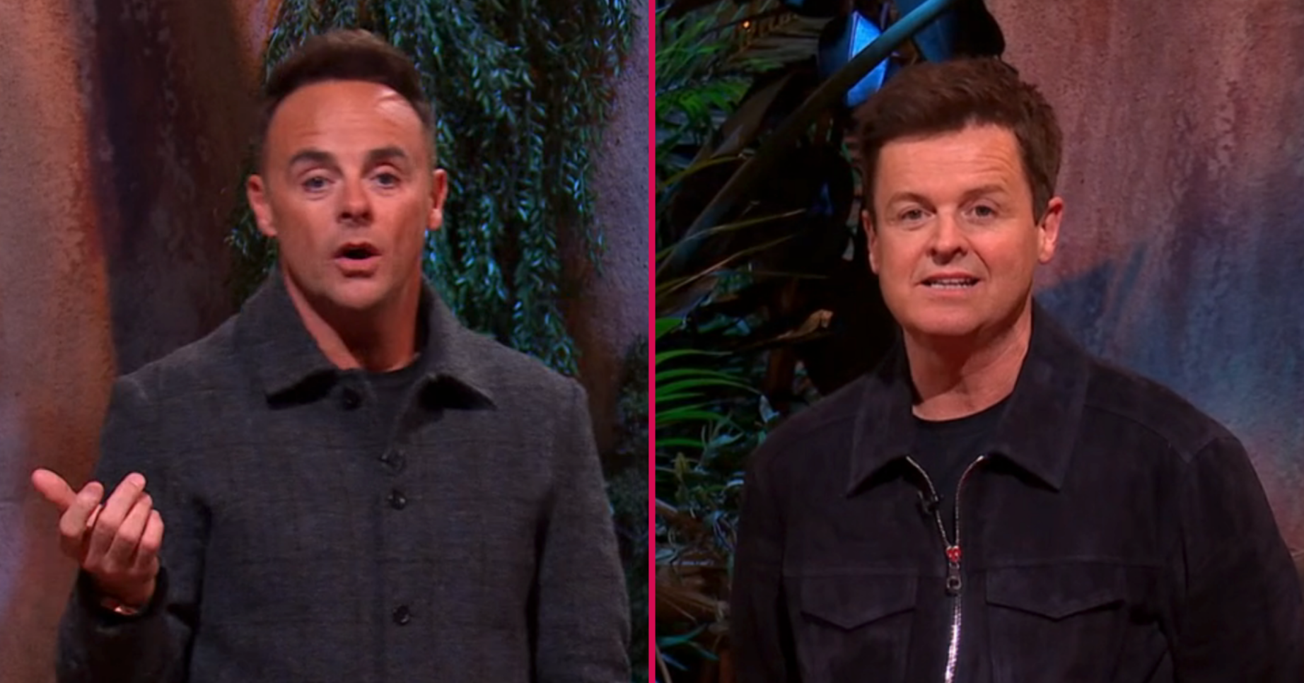 Ant and Dec at the I'm A Celebrity South Africa final