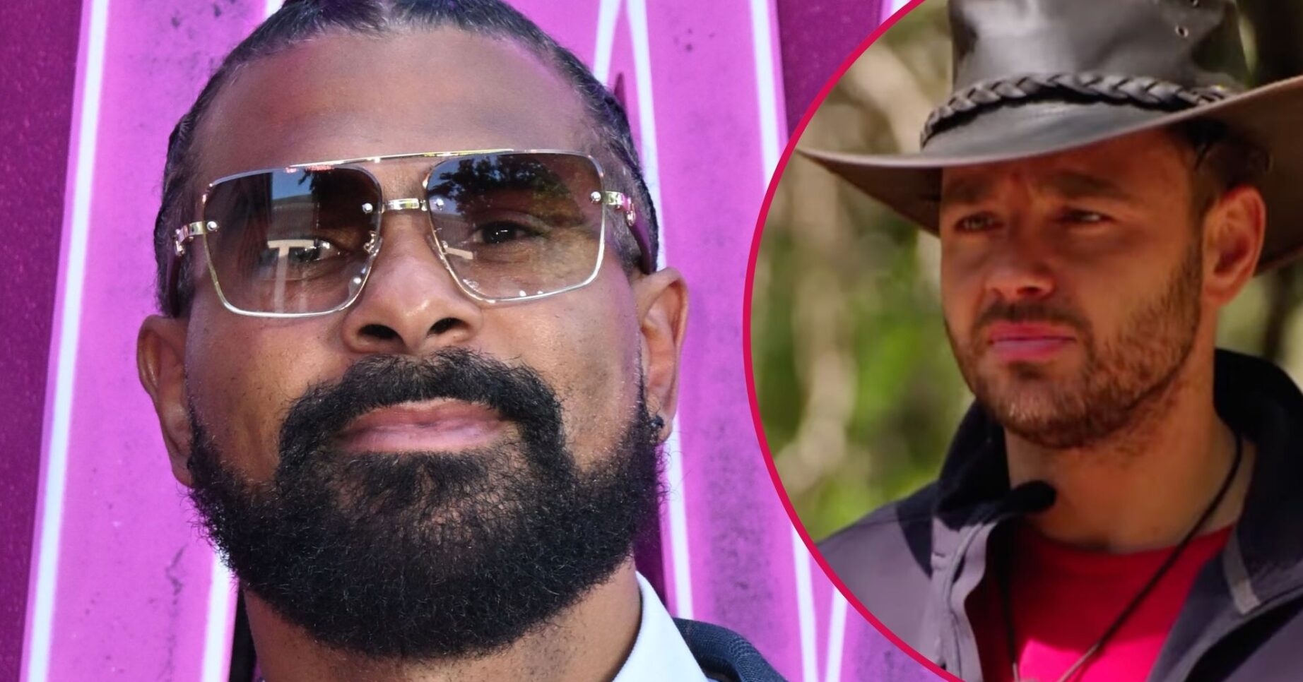 David Haye / Adam Thomas