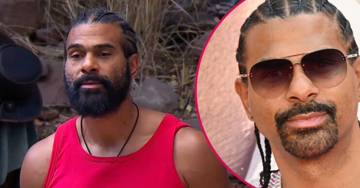 David Haye on I'm A Celebrity / on the red carpet