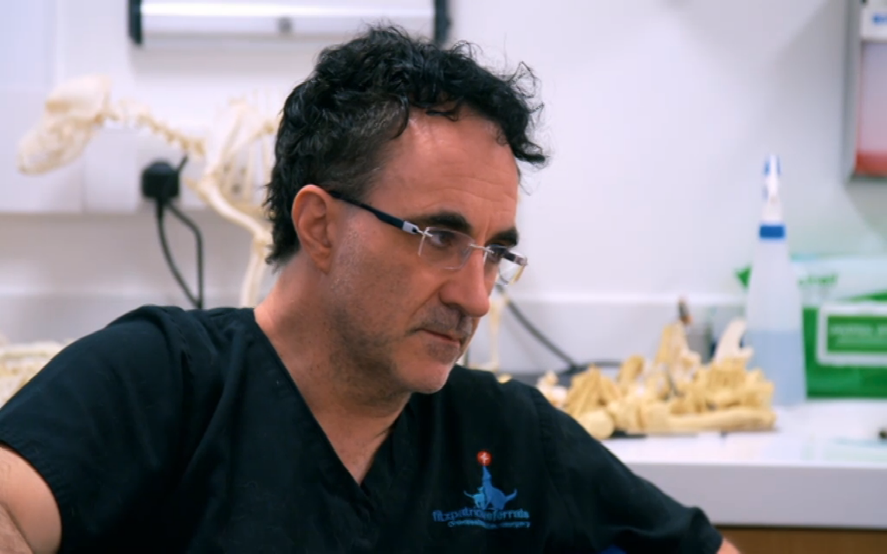 Supervet Noel Fitzpatrick