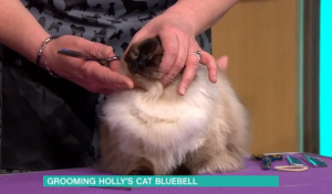 ITV