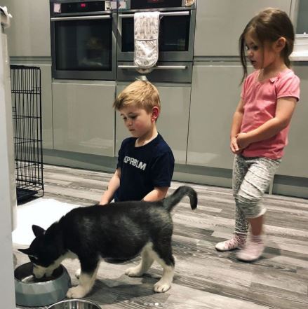 Dan Osborne and Jacqueline Jossa dog Storm