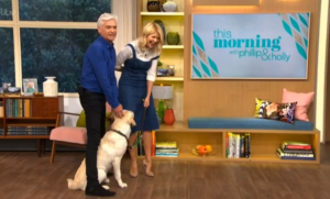 ITV