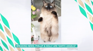 ITV