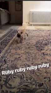 @carolineflack Instagram