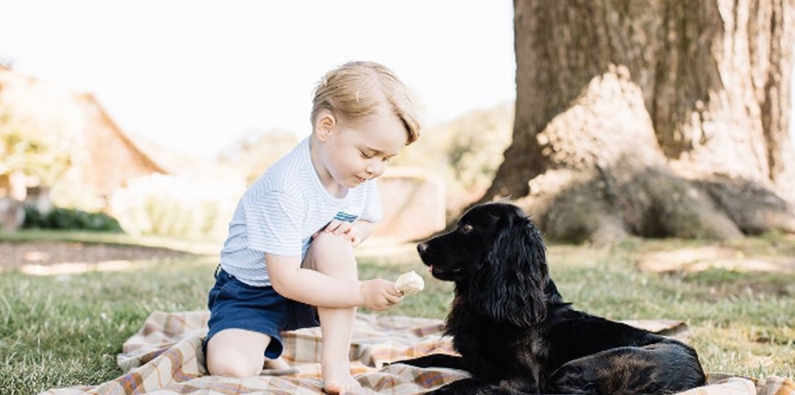 Prince George and Lupo