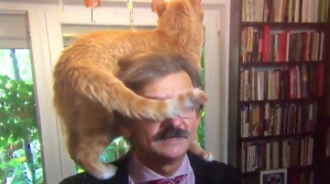 Jerzy Targalski Cat
