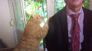 Jerzy Targalski Cat