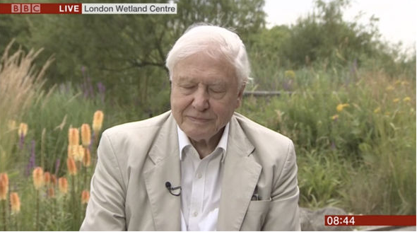 Sir David Attenborough