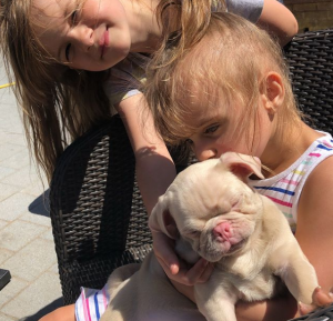 kerry-katona's new puppy