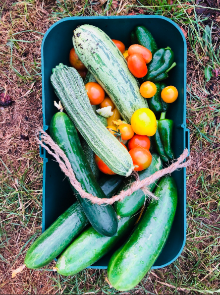 Zoe Henry Jeff Hordley allotment